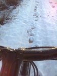 bici_nieve 2.jpg