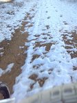 bici_nieve 6.jpg