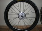 PC160352.JPG
