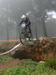 IMG_7804 copia.jpg