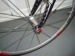 DSC01252rrrrr.jpg