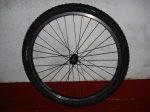 DSC01785.jpg