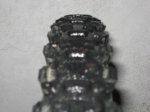 DSC01793.jpg