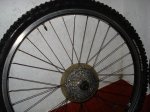 DSC01807.jpg