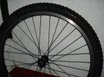 DSC01808.jpg