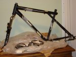 DSC01772.jpg