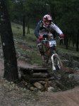 IMG_7926 copia.jpg