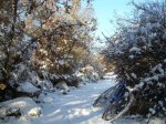 DSCN3460_800x600.jpg