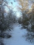 DSCN3462_450x600.jpg