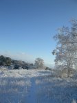 DSCN3464_450x600.jpg