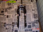 DSC04386.jpg