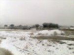 Imagen031.jpg