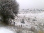 Imagen047.jpg