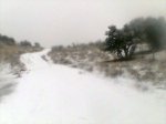 Imagen043.jpg