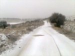 Imagen040.jpg
