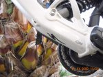 DSCN0519.jpg
