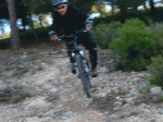 P1020266.gif
