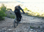 P1020268.gif