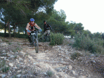 P1020269.gif