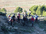 P1020273.gif