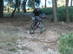 P1020274.gif