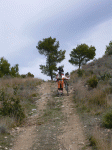 P1020285.gif