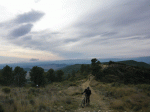 P1020286.gif