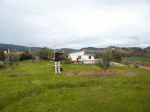 P1020293.gif