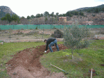 P1020295.gif