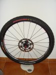 DSC05618x8.JPG