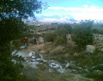 Imagen298.jpg