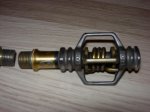 nikon spt08 077.jpg
