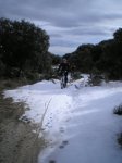 PC170021.jpg