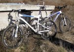 marmota18gv7.jpg