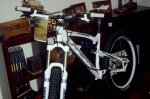 SV400158.jpg