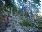 DSCN1039.JPG
