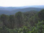 mini-IMG_4039.JPG