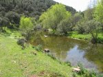 mini-IMG_4093.JPG