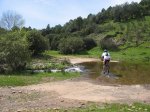 mini-IMG_4095.JPG