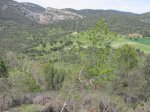 mini-IMG_4108.JPG