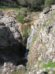 mini-IMG_4122.JPG