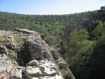 mini-IMG_4125.JPG