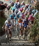 fln06-koppen[1].jpg