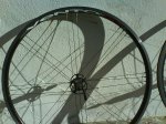 DSC00047.jpg