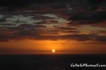 DSC_1026.jpg