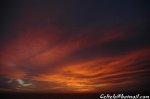 DSC_8050.jpg
