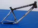 cuadro Giant 018.jpg