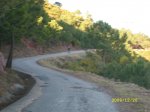 SL270328.jpg