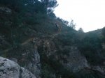 DSC00896.jpg