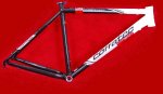 001_xvert_s_carbon_alu.jpg